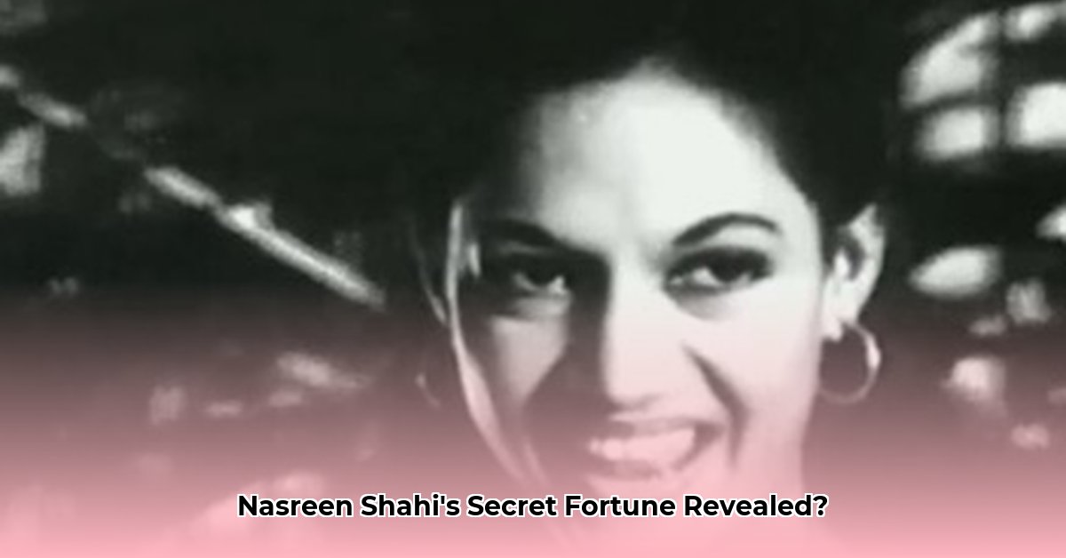 nasreen-shahi-net-worth
